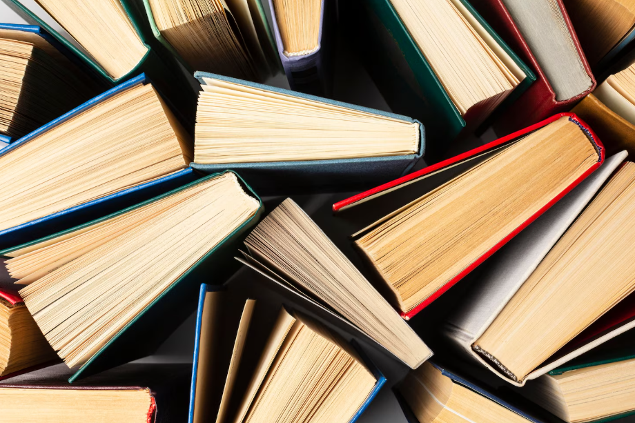 Inside the Story of Truck and Camper by Larry Olliverson