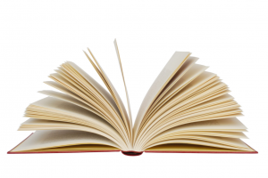 Truck and Camper Is a Must-Read Adventure Book in 2025