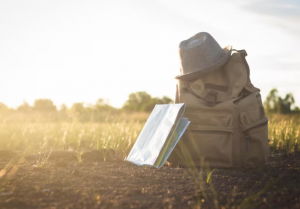 Truck and Camper by P.I.V. Productions: A Journey Worth Reading