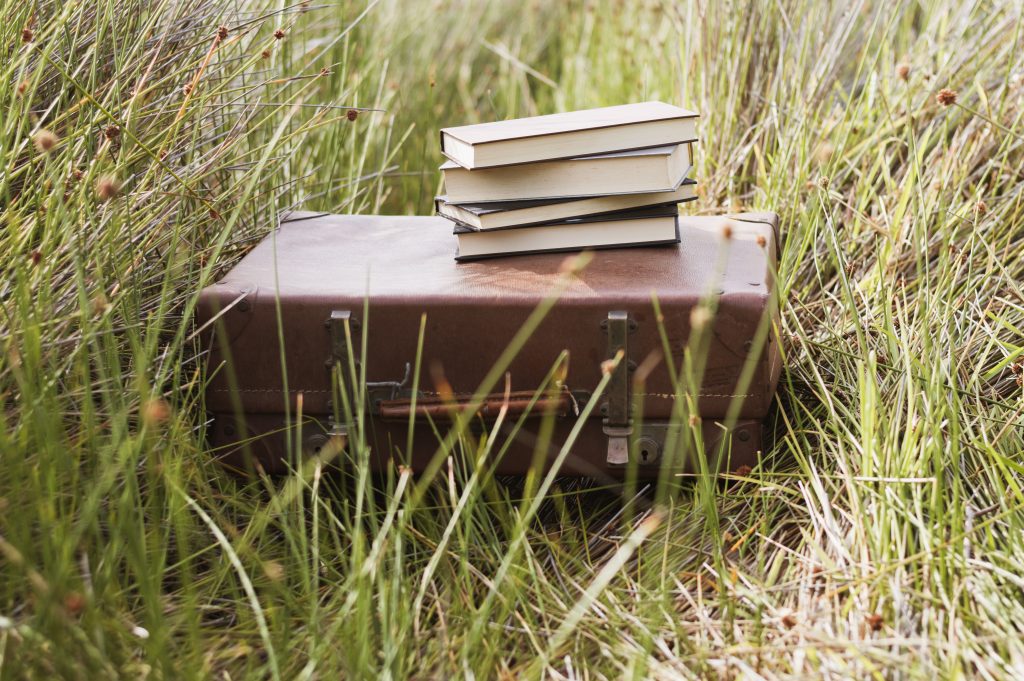 Best Truck and Camper Adventure Books to Read This Yea