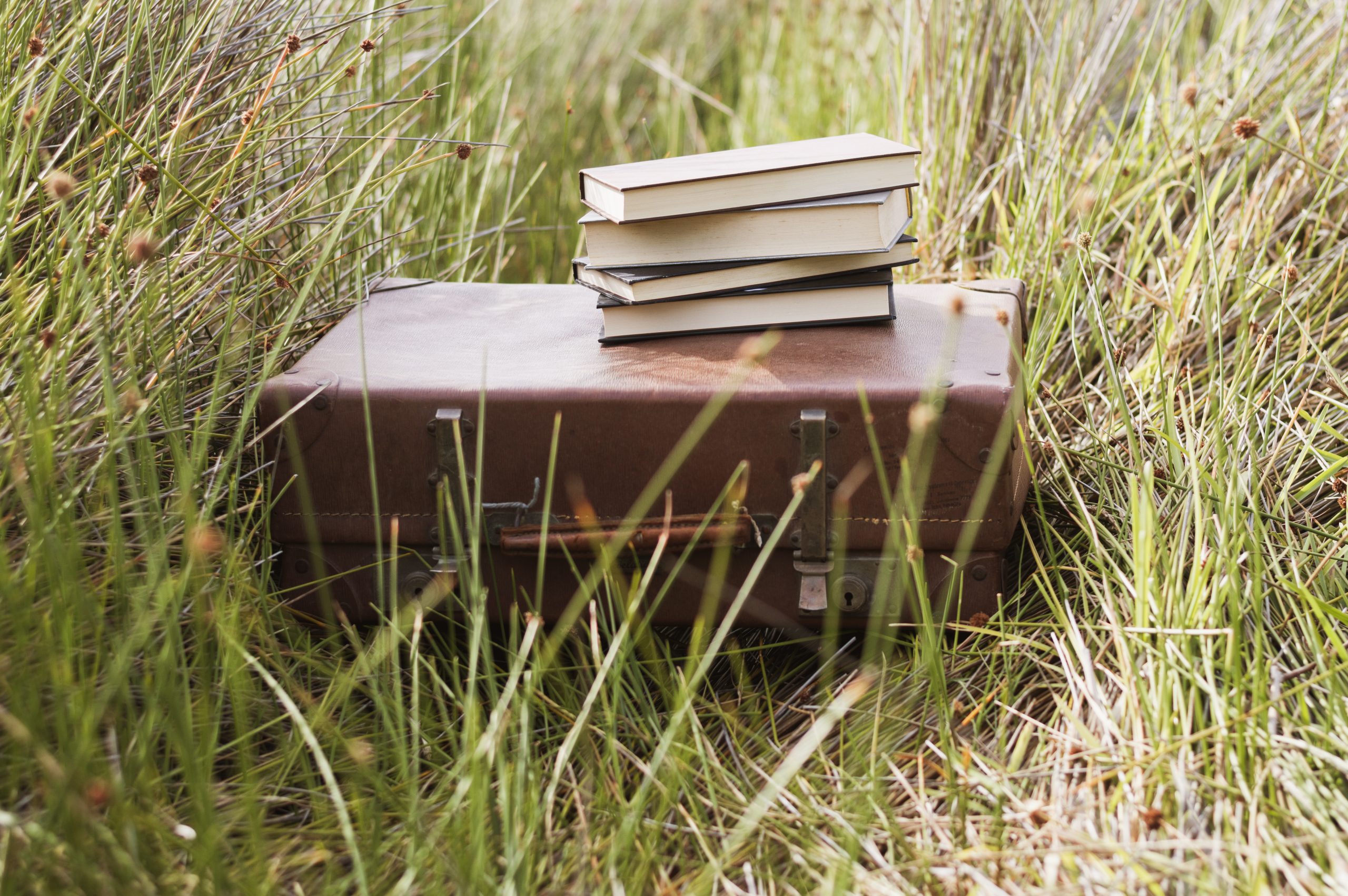 Best Truck and Camper Adventure Books to Read This Yea