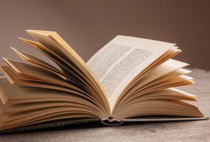 Top Road Trip Inspired Books – Why Truck and Camper Tops the List